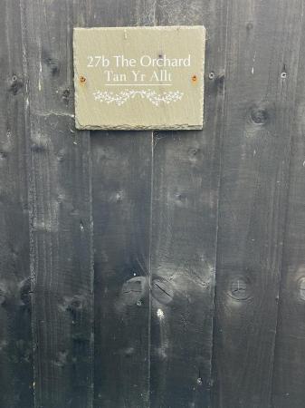 The Orchard.jpg