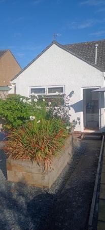 41 Clifton 20260725_075612.jpg
