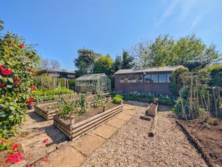 VEGETABLE GARDEN