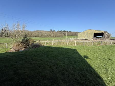 Views from living room