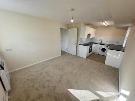 Open Kitchen / Living