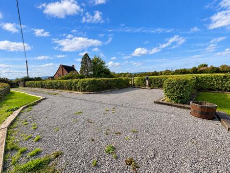 Driveway (2/3)