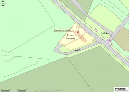 Promap-3164917-3261852