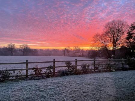 Snowy views.jpg