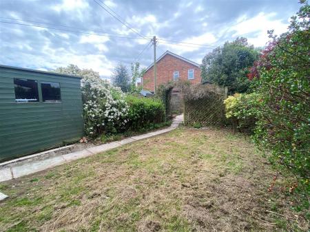 Garden 2.jpg