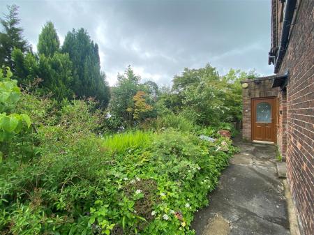 Side garden 1.jpg