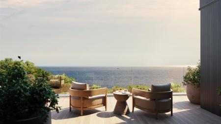 Layde bay_aerial_ocean view (2).jpg