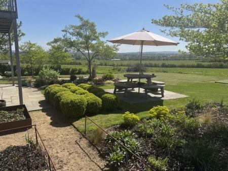 Sunny garden 3.jpeg