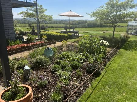 Sunny garden .jpeg