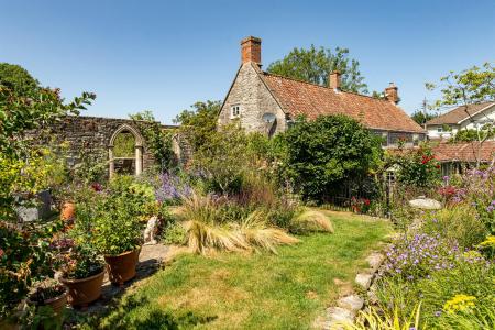 Garden_6.jpg