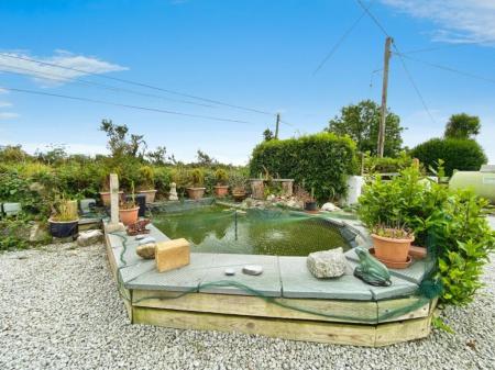 Media image 28