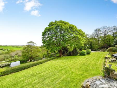 Media image 38