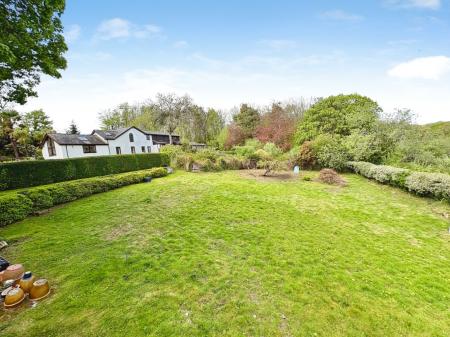 Media image 39