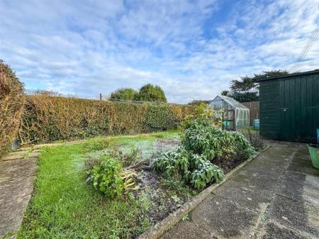 Media image 29