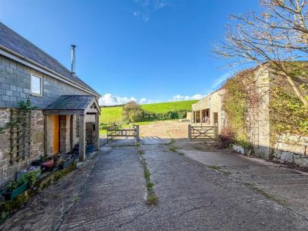 Media image 17
