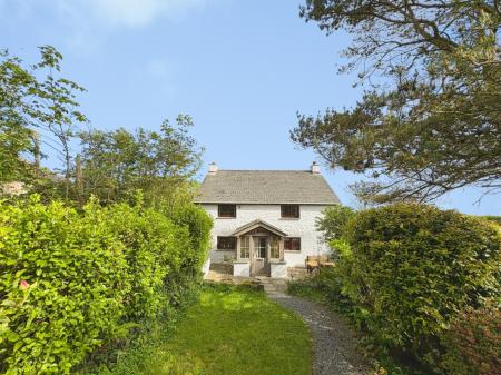 Media image 02