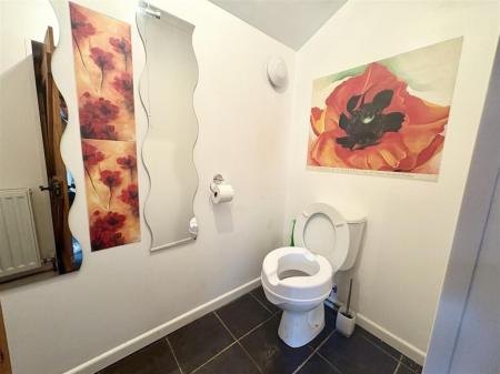 Media image 11