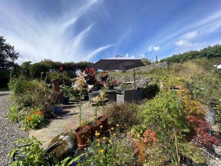 Media image 32