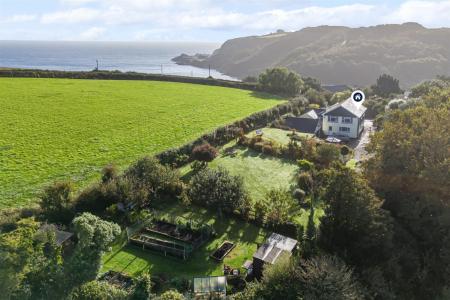 Media image 29