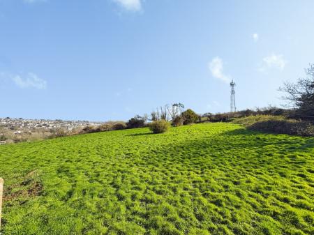 Media image 18