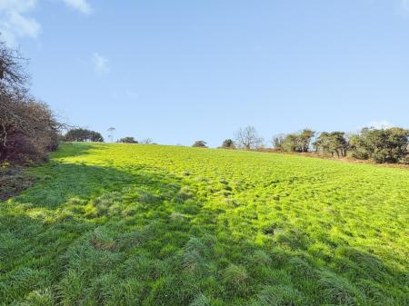 Media image 22