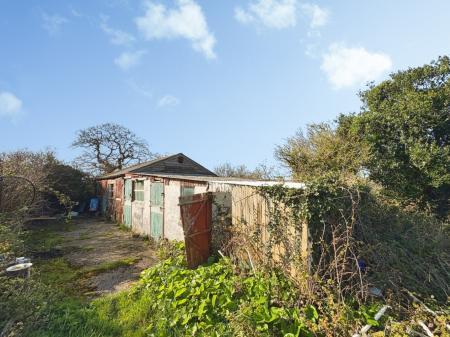 Media image 02