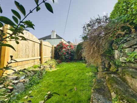 Media image 23