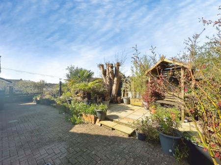 Media image 22
