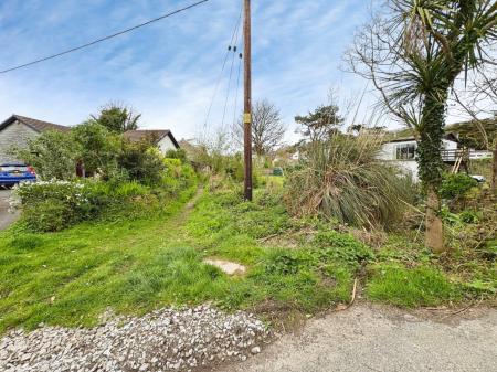 Media image 17