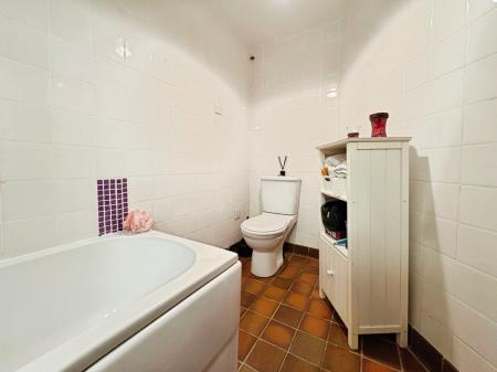 Media image 15