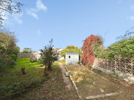 Media image 17