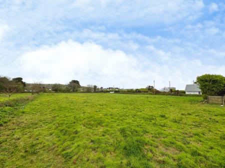 Media image 07