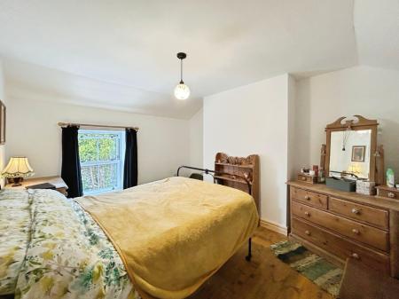Media image 13