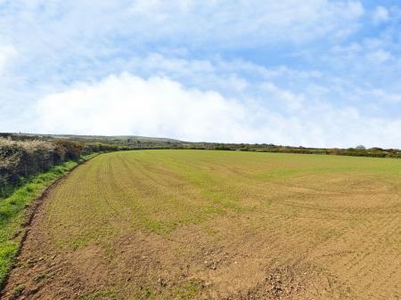 Media image 05