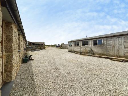 Media image 23
