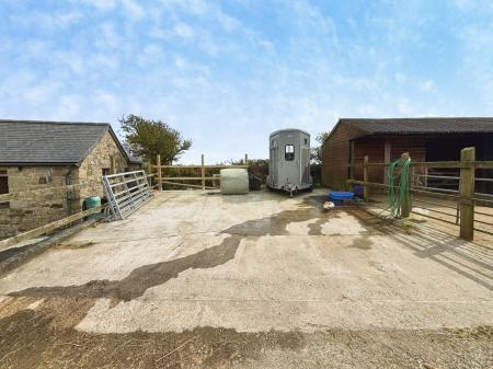 Media image 26