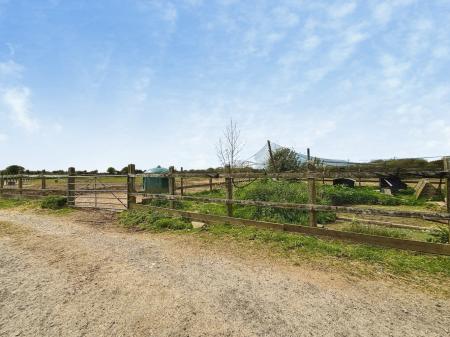 Media image 32