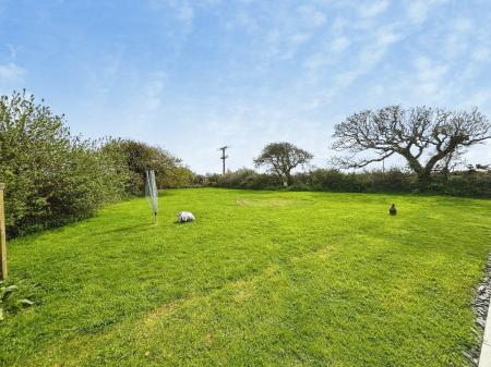 Media image 29