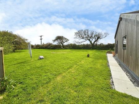 Media image 33