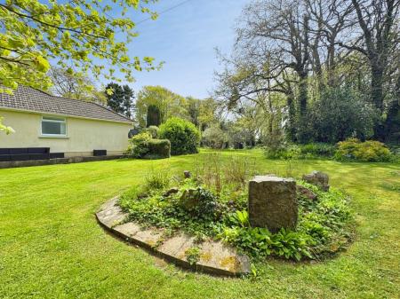Media image 28