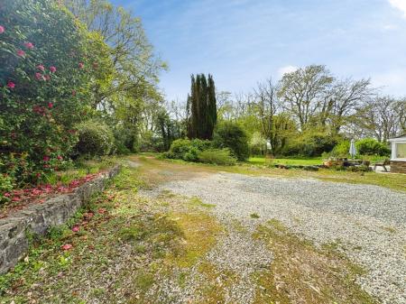 Media image 30