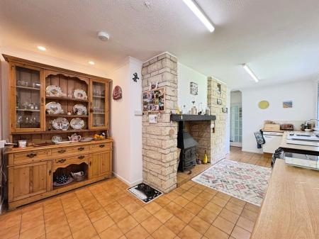 Media image 10