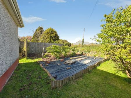 Media image 27