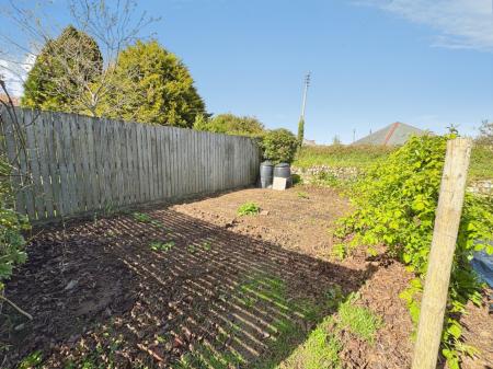 Media image 29