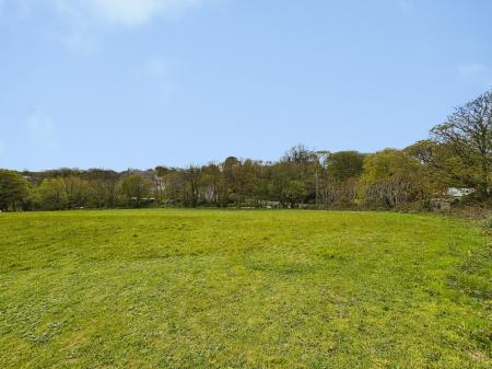 Media image 15