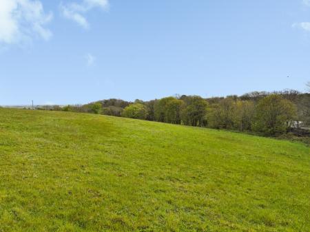 Media image 04