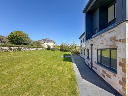 Media image 25