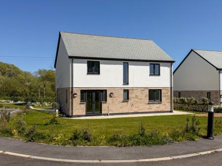 Media image 20
