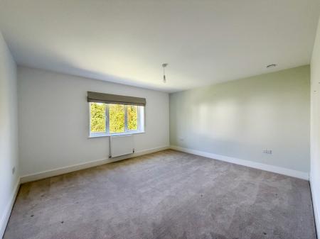Media image 11