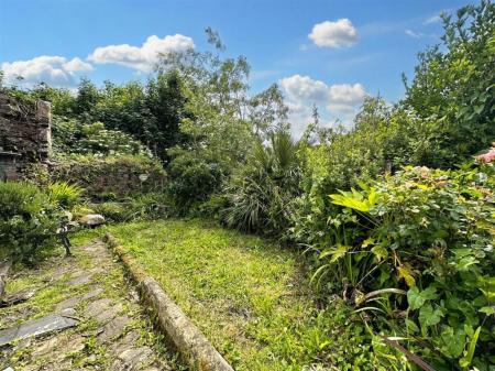 Media image 23